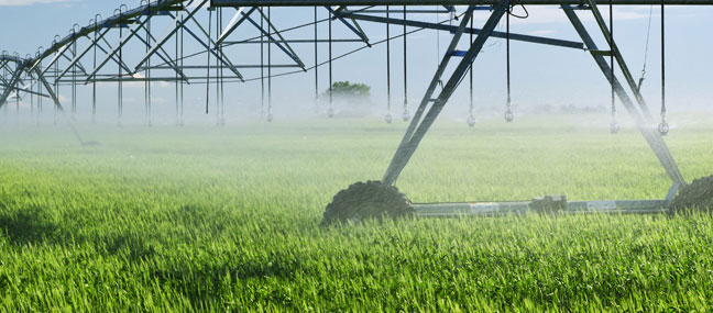 Kuriyama Europe - Agriculture